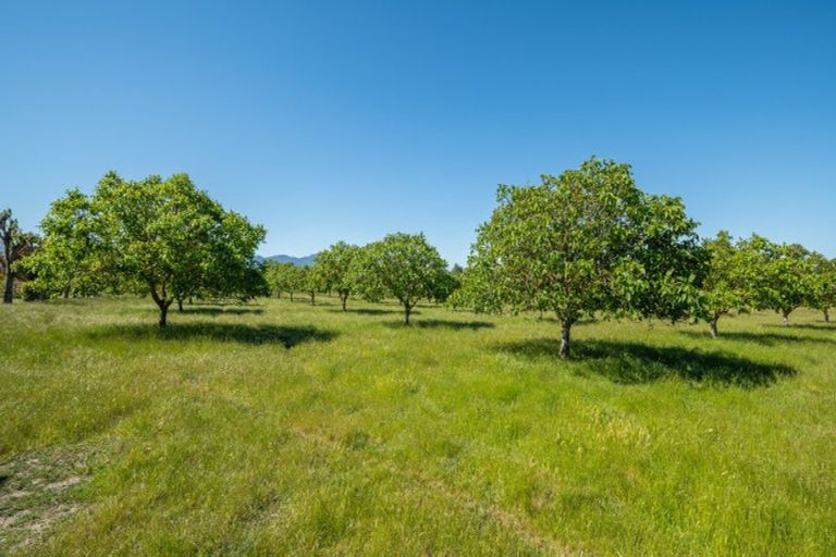Photo of property in 187 Wither Road, Witherlea, Blenheim, 7201