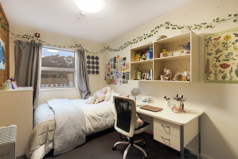 Photo of property in Drummond Street Flats, 14/19 Drummond Street, Mount Cook, Wellington, 6021
