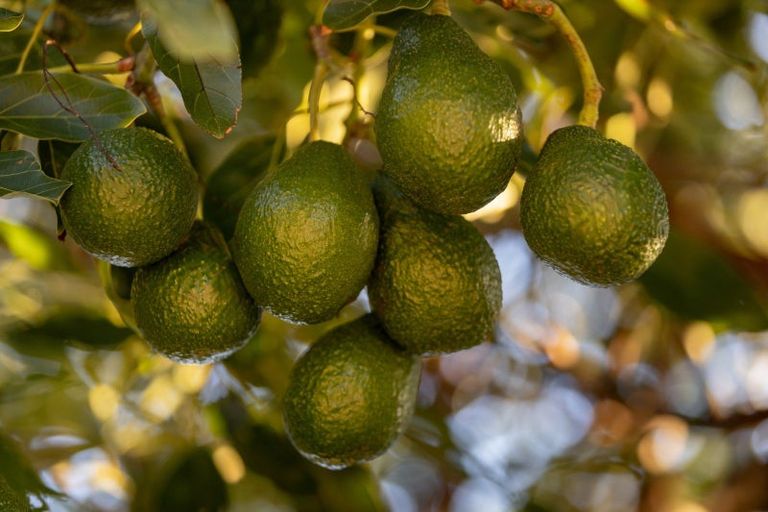 Photo of property in 5 Flight Valley Way, Welcome Bay, Tauranga, 3175