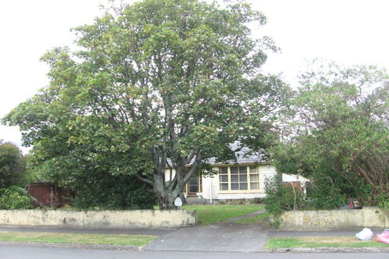 Photo of property in 10 Rongonui Street, Elderslea, Upper Hutt, 5018
