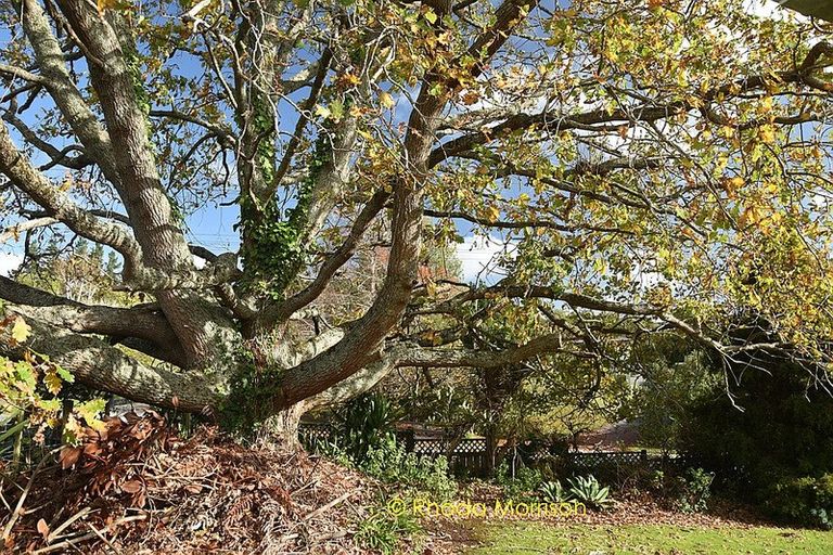 Photo of property in 1908 Paparoa Valley Road, Paparoa, 0571