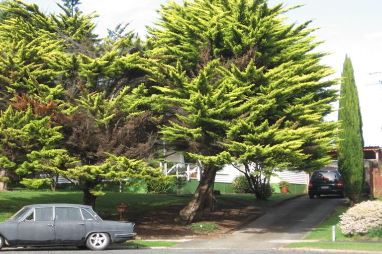 Photo of property in 6 Vista Place, Tikipunga, Whangarei, 0112