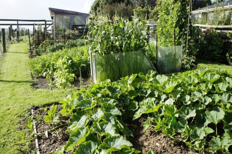 Photo of property in 150 Owaka Valley Road, Owaka, 9586