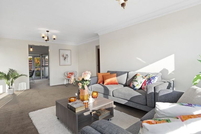 Photo of property in 213c Fifteenth Avenue, Tauranga South, Tauranga, 3112