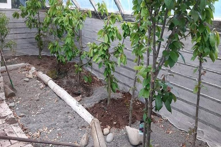 Photo of property in 344 Tramway Road, Leeston, 7682