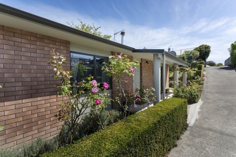 Photo of property in 602a Ferguson Street, Terrace End, Palmerston North, 4410