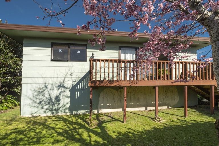 Photo of property in 18 Esk Street, Parkvale, Tauranga, 3112