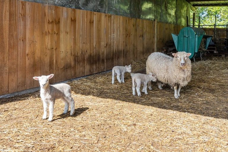 Photo of property in 1/1972 Kakaramea Road, Ngahinapouri, Hamilton, 3290