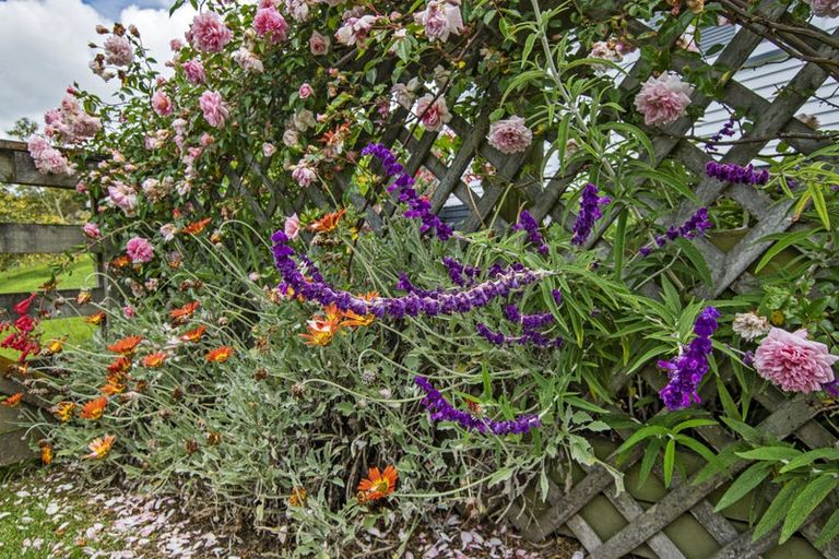 Photo of property in 37 Pahi Road, Paparoa, 0571