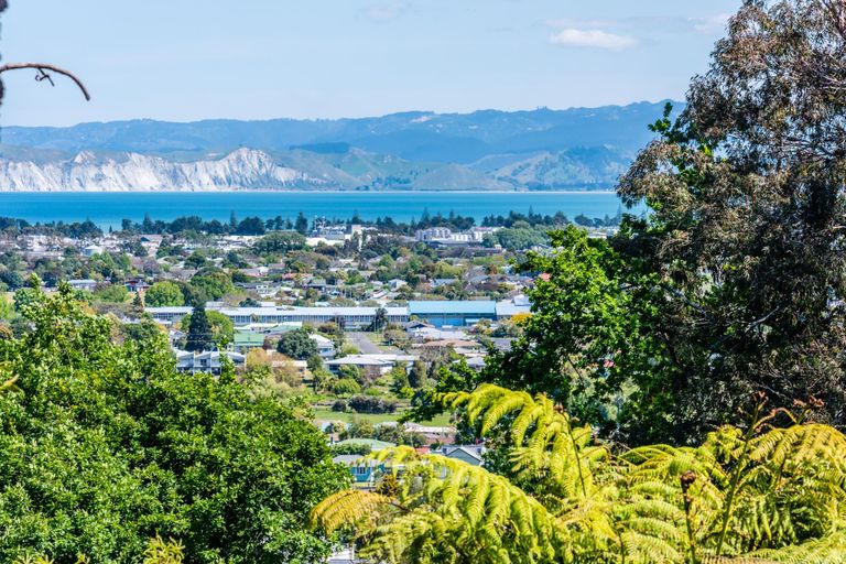 Photo of property in 45 Hillview Terrace, Mangapapa, Gisborne, 4010