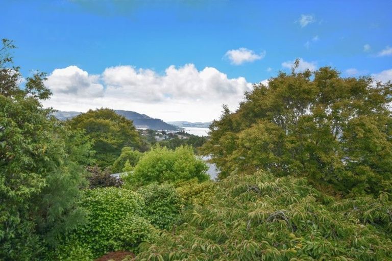 Photo of property in 11 Picardy Street, Maryhill, Dunedin, 9011