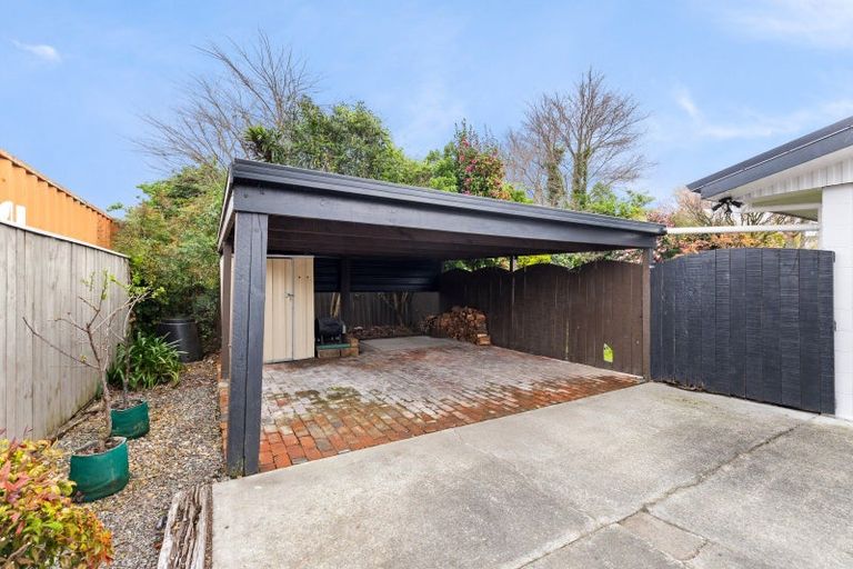 Photo of property in 50 Windsor Street, Terrace End, Palmerston North, 4410
