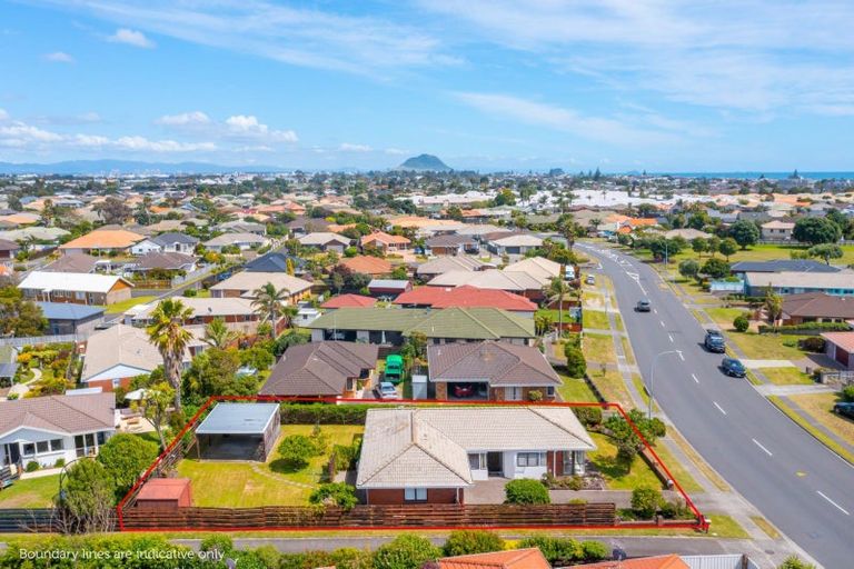 Photo of property in 202 Grenada Street, Mount Maunganui, 3116