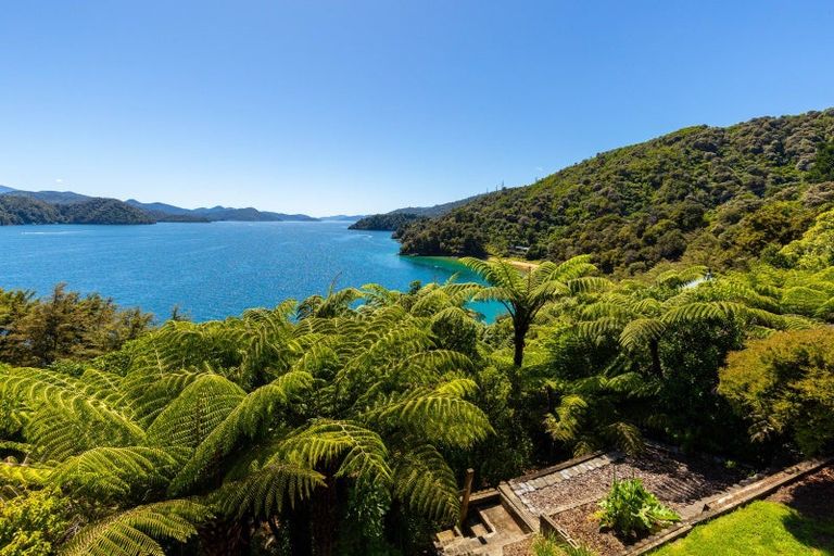 Photo of property in 2069 Queen Charlotte Drive, Ngakuta Bay, Picton, 7281