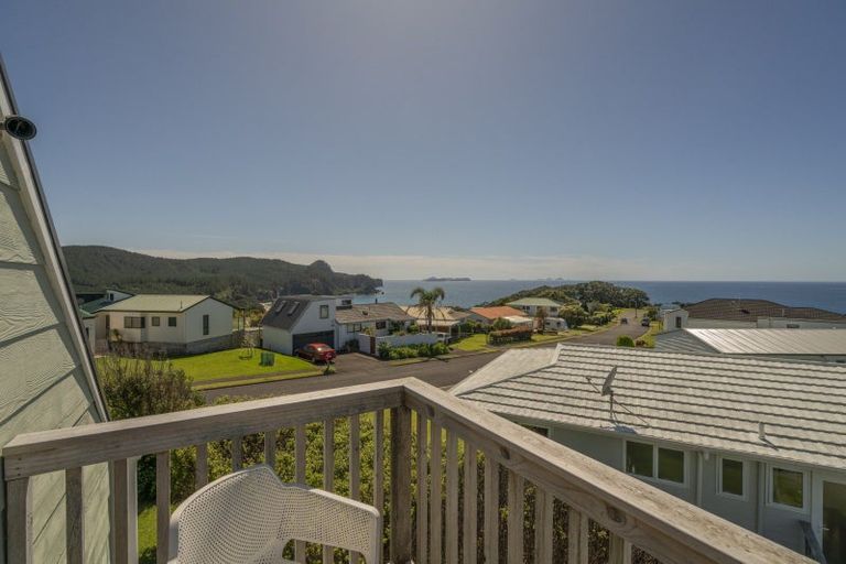Photo of property in 441 Onemana Drive, Onemana, Whangamata, 3691