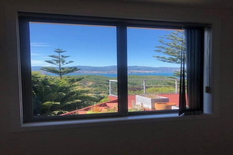 Photo of property in 181 Buckley Road, Southgate, Wellington, 6023