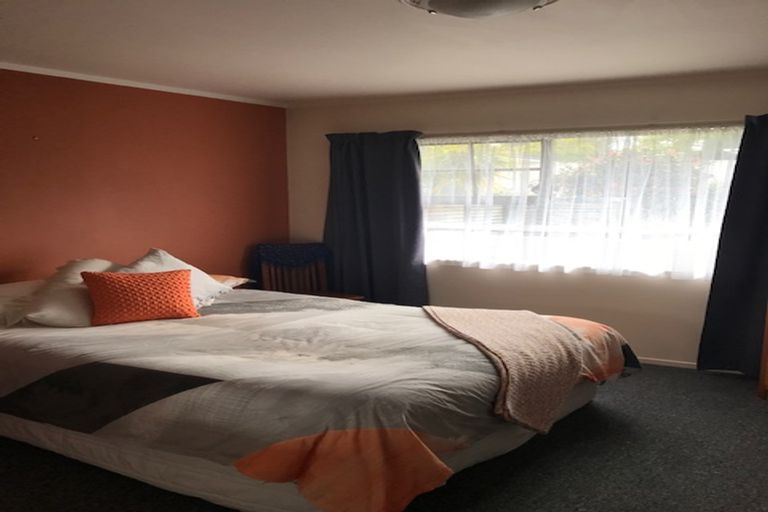 Photo of property in 56 Alison Street, Hamilton Lake, Hamilton, 3204