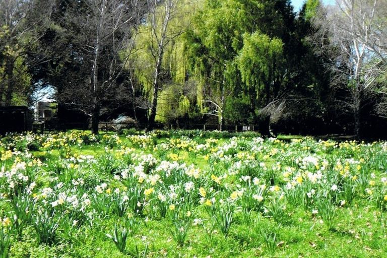 Photo of property in 132 Easterbrook Road, Fernside, Kaiapoi, 7691
