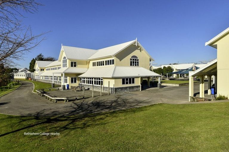 Photo of property in 31 Brodie Place, Bethlehem, Tauranga, 3110