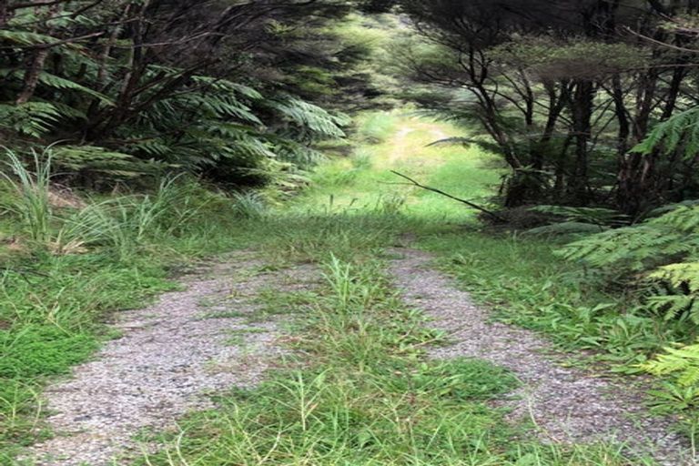 Photo of property in 283 J Tolhopf Road, Makarau, Warkworth, 0981