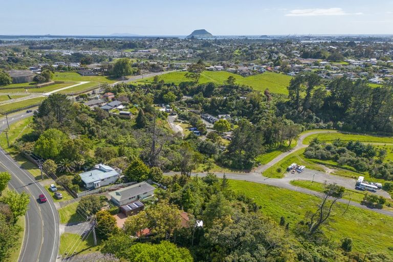 Photo of property in 274 Cambridge Road, Bethlehem, Tauranga, 3110