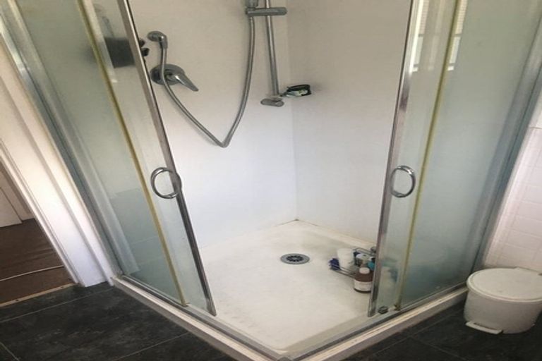 Photo of property in 4 Pearl Place, Chartwell, Hamilton, 3210