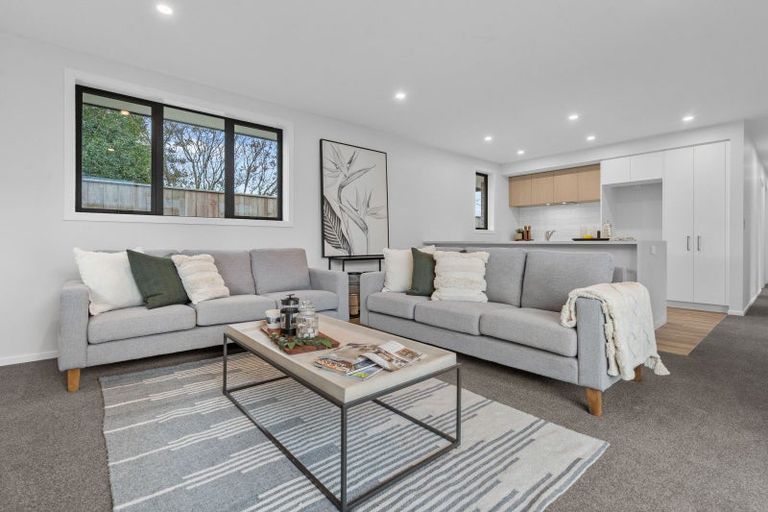 Photo of property in 22a Sussex Street, Levin, 5510