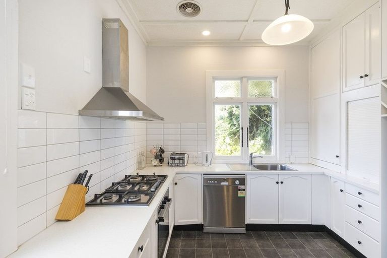 Photo of property in 53 Limbrick Street, Terrace End, Palmerston North, 4410