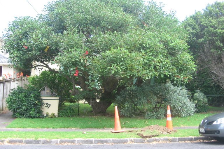 Photo of property in 37 Hastings Parade, Devonport, Auckland, 0624