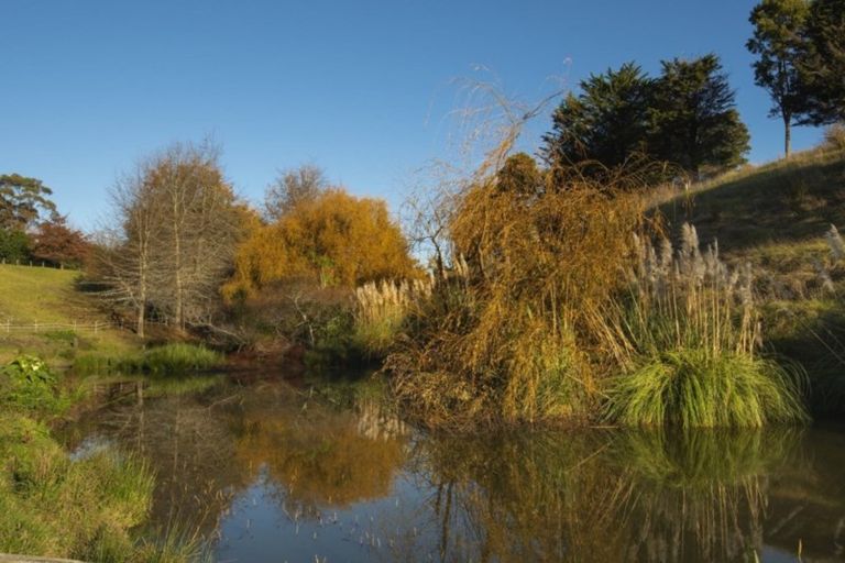 Photo of property in 333 Pahoia Road, Whakamarama, Tauranga, 3172