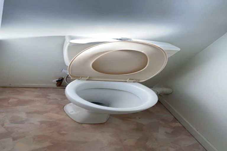 Photo of property in 39 Nirvana Way, Mount Roskill, Auckland, 1041