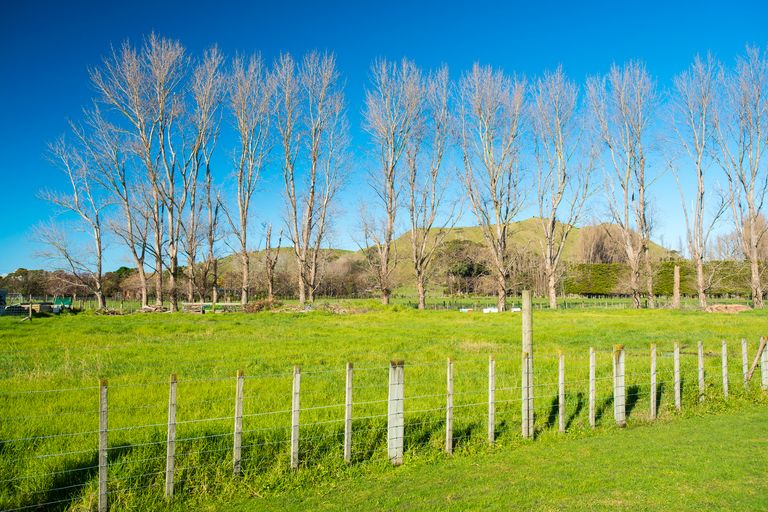 Photo of property in 52 Hamilton Drive, Wainui, Gisborne, 4010
