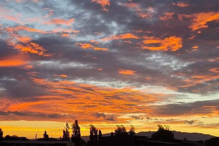 Photo of property in 828 Bond Road, Te Awamutu, 3879