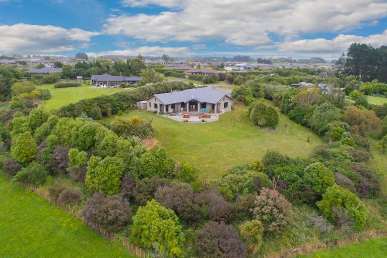 Photo of property in 16 Sika Avenue, Feilding, 4775