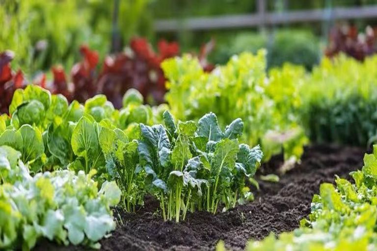 Photo of property in 7/108 West Coast Road, Glen Eden, Auckland, 0602