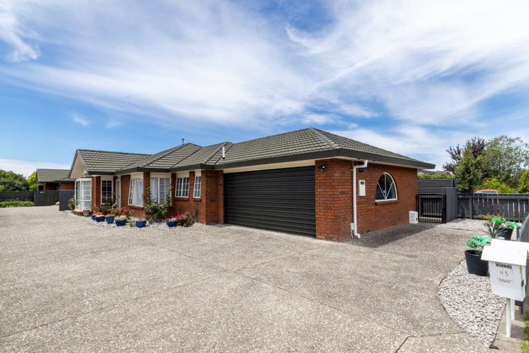 Photo of property in 509 Burnett Street, Mahora, Hastings, 4120