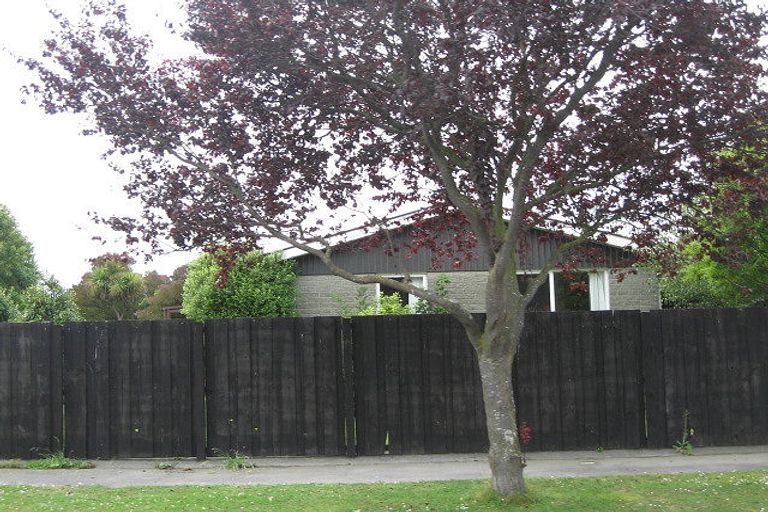 Photo of property in 29 Mccarthy Street, Hoon Hay, Christchurch, 8025