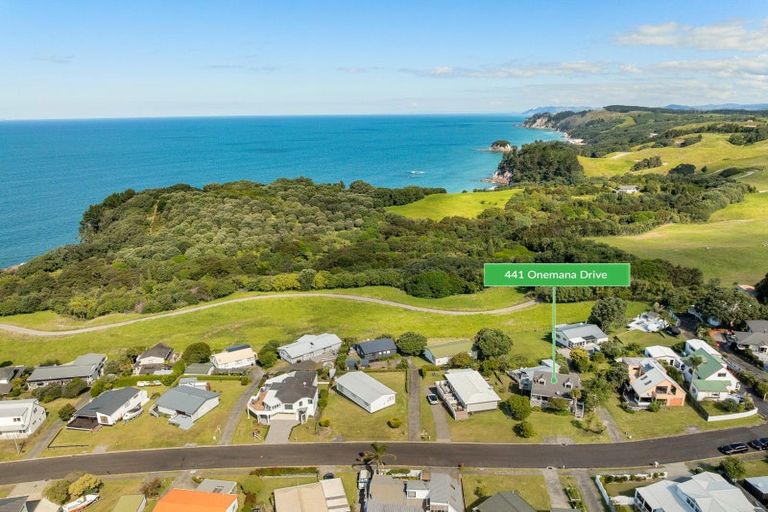 Photo of property in 441 Onemana Drive, Onemana, Whangamata, 3691