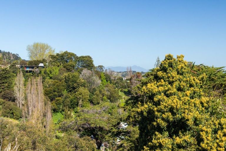 Photo of property in 109 Irishtown Road, Thames, 3500