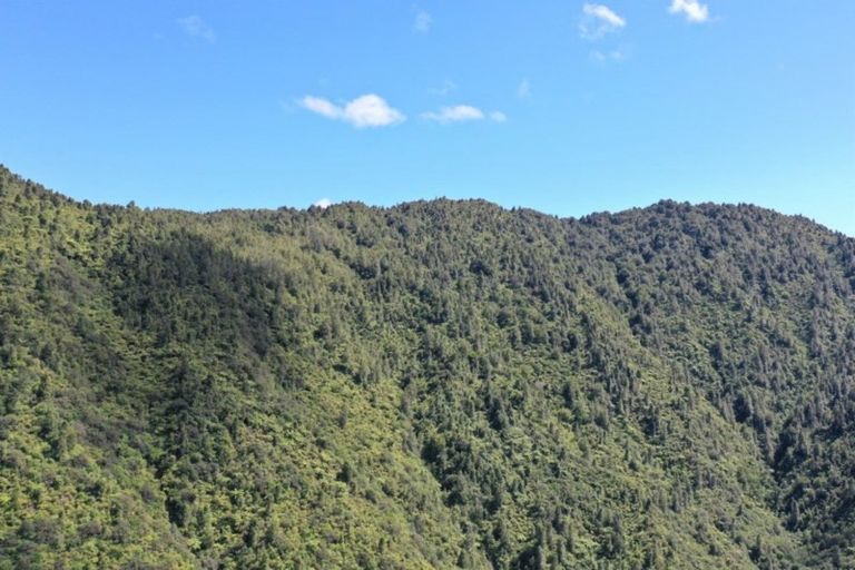 Photo of property in 340 Tutaetoko Road, Toatoa, Opotiki, 3197