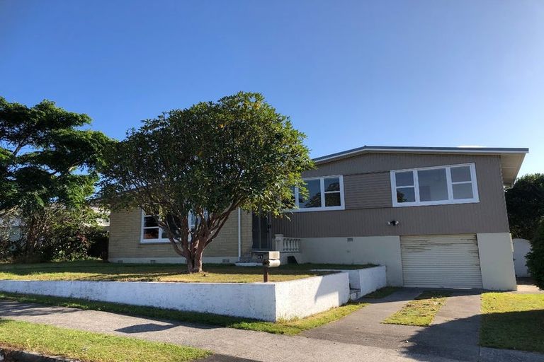 Photo of property in 11 Burn Street, Levin, 5510