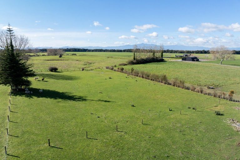 Photo of property in 449 Taukoro Road, Morrinsville, 3375