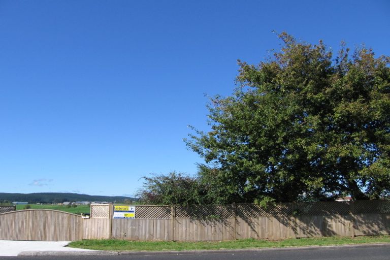 Photo of property in 25 Neal Street, Putaruru, 3411