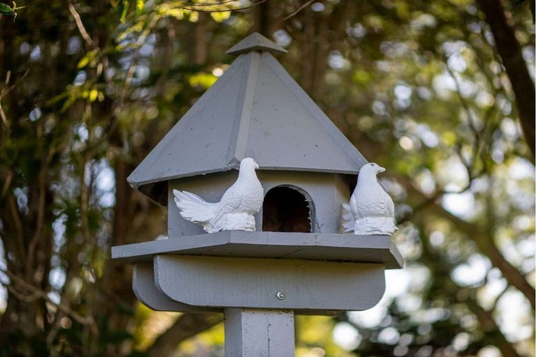 Photo of property in 57 Landing Road, Kerikeri, 0230