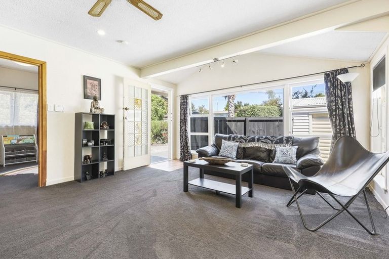 Photo of property in 158 Rimu Street, Maeroa, Hamilton, 3200