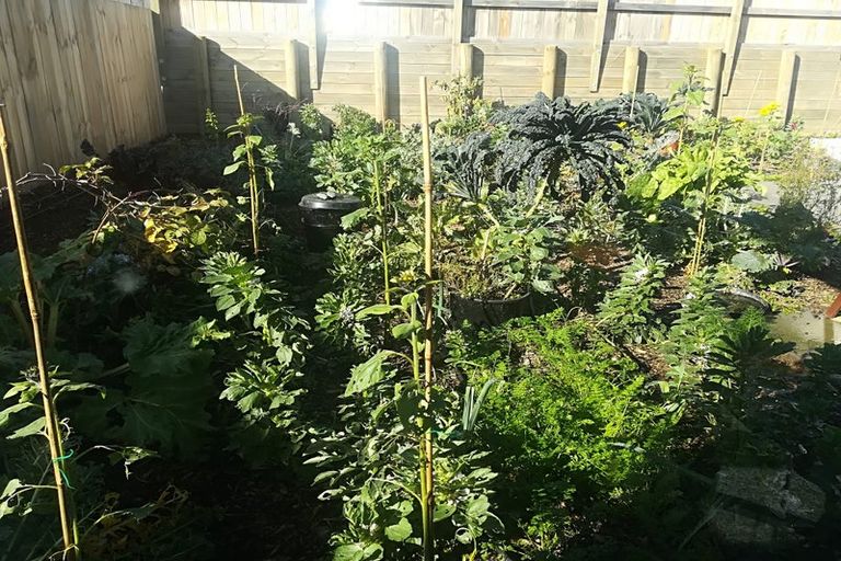 Photo of property in 6/17 North Ridge Drive, Rototuna North, Hamilton, 3281