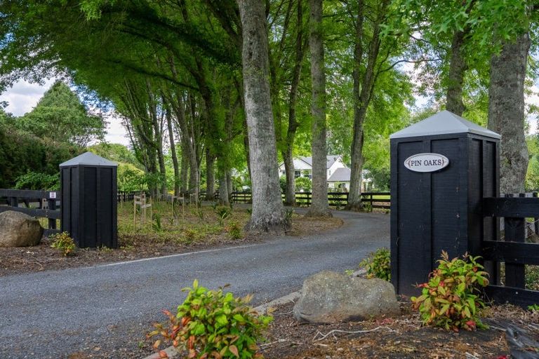 Photo of property in 53 Poplar Lane, Matangi, Hamilton, 3284