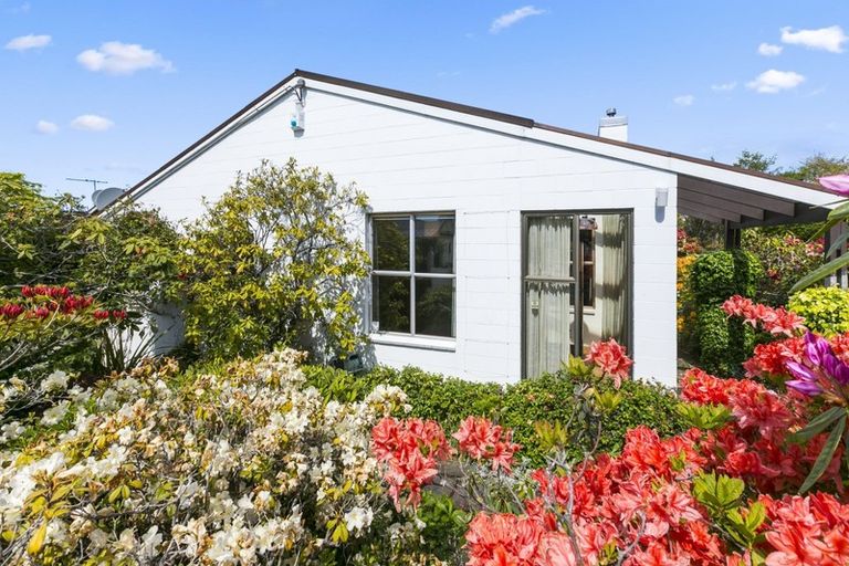 Photo of property in 97 Newington Avenue, Maori Hill, Dunedin, 9010