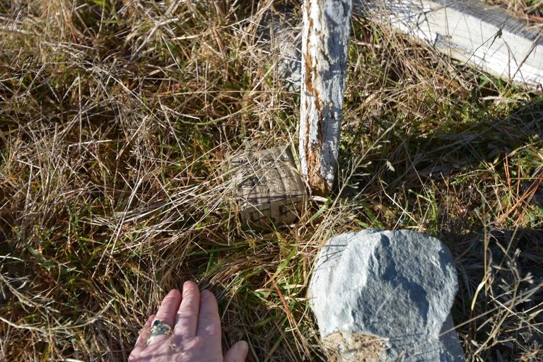 Photo of property in 80 Ohau Drive, Lake Ohau, Twizel, 9412