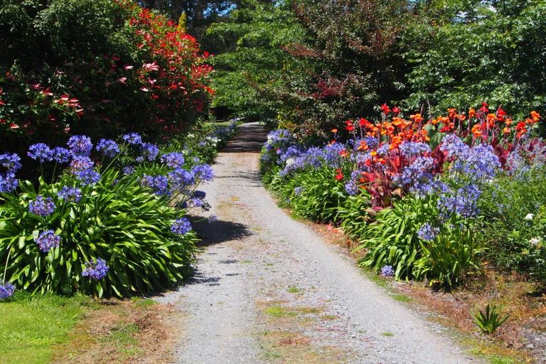 Photo of property in 337 Elsthorpe Road, Otane, 4277